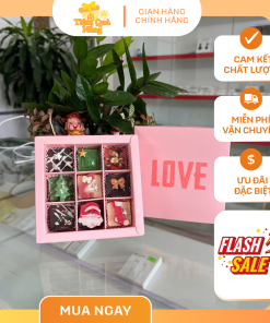 Socola giáng sinh 9 viên